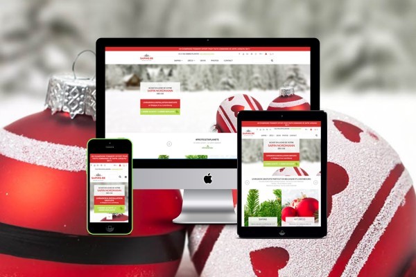 L’e-commerce belge explose en 2017 : exemple édifiant avec la vente de sapins de Noël via Internet !