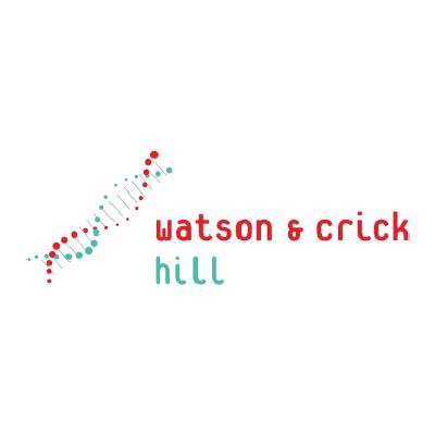 Conception du site web de Watson & Crick Hill