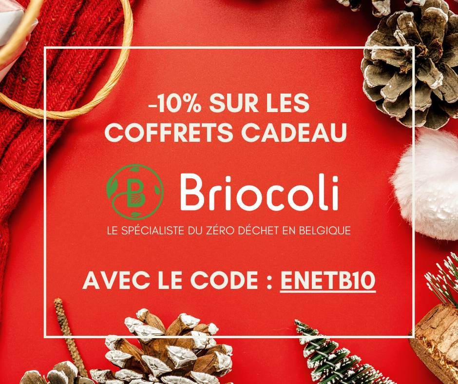 Jour 3 : Briocoli