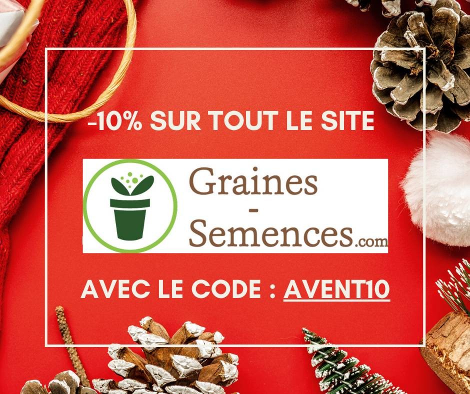 Jour 4 : Graines-Semences