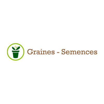 Stratégie digitale de Graines - Semences, par E-net Business
