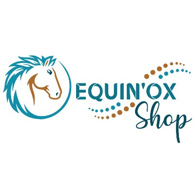 Création du site Internet d’Equin’Ox par E-net